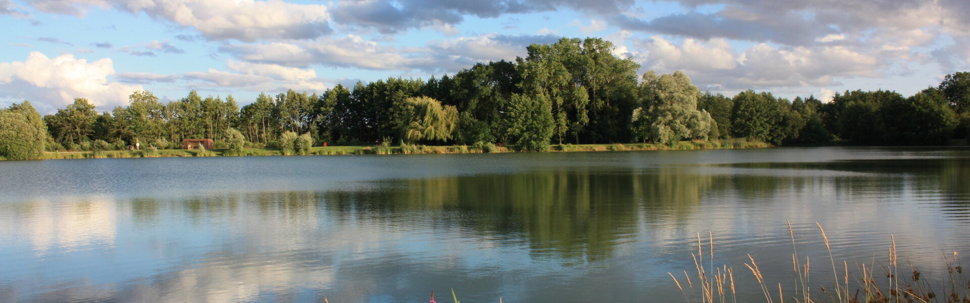 Environnement & Cadre de vie